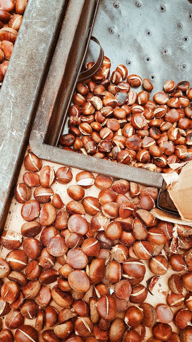 brown seeds lot
