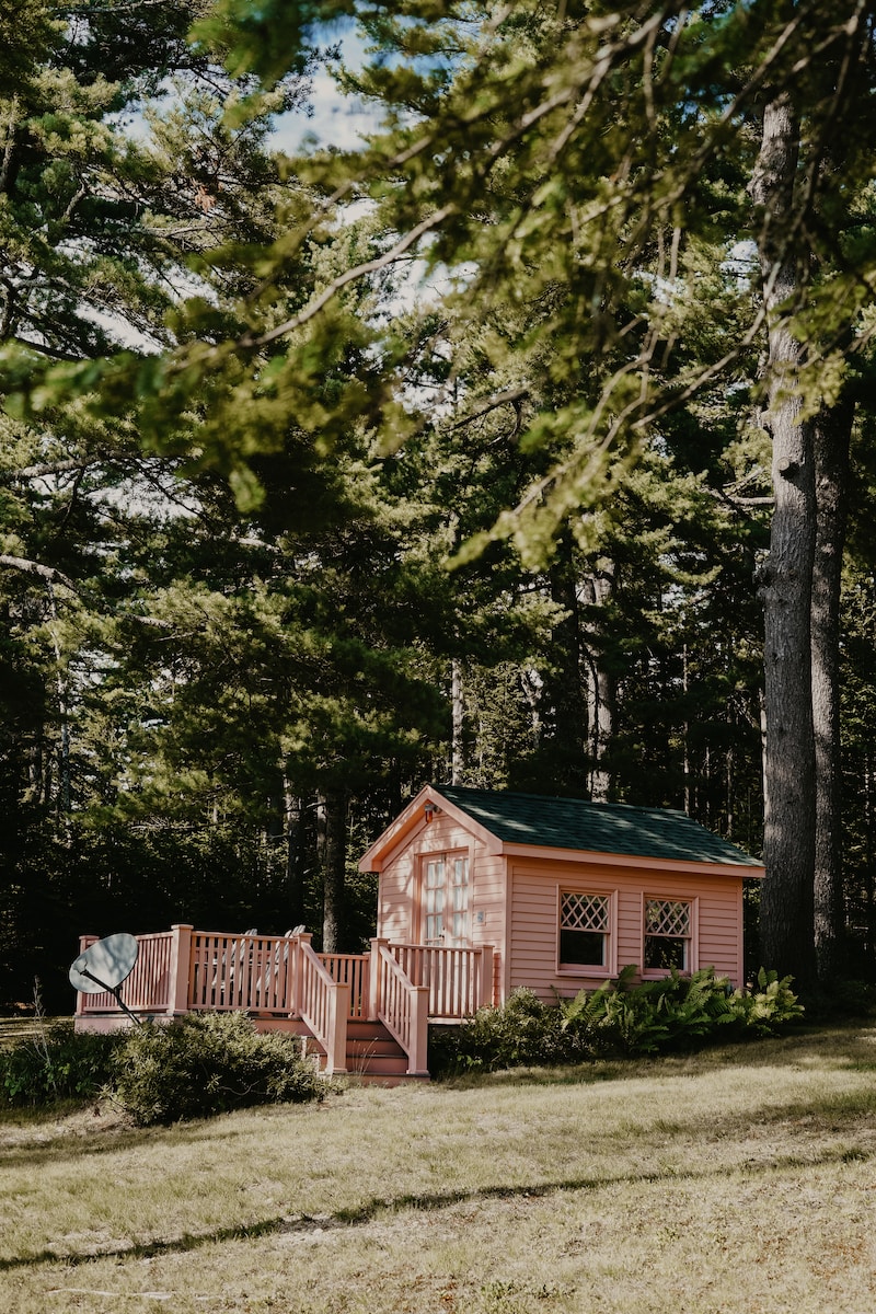 pink painted house in woods