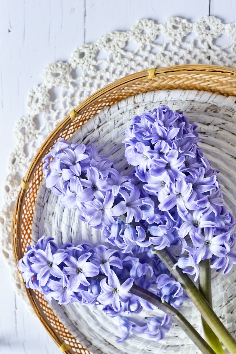 purple flowers on brown woven basket