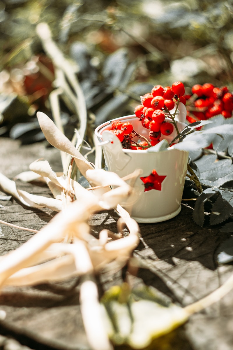 a white cup with red berries